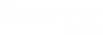 Microsoft Gold Partner Badge